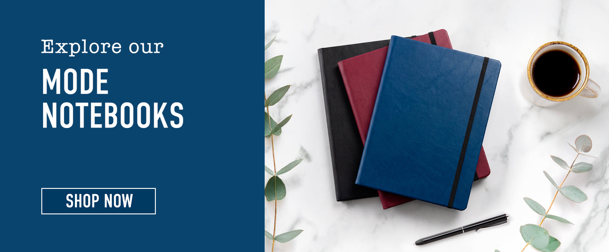 Explore our Mode notebooks